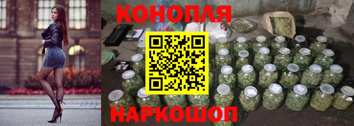Шишки марихуана сатива Майкоп