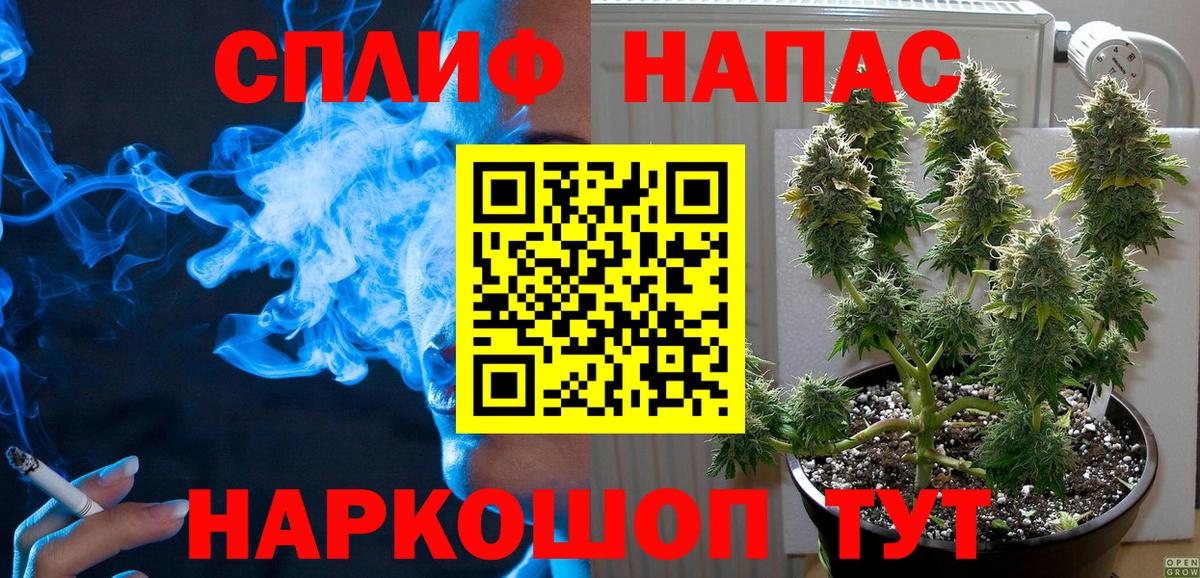 Майкоп  Бошки марихуана тримм  МАРИХУАНА AK-47  Вход с VPN  Каннабис индика 